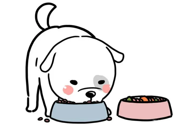 换粮不慎可能会让狗子腹泻!看完涨知识 换粮不慎可能会让狗子腹泻!看完涨知识