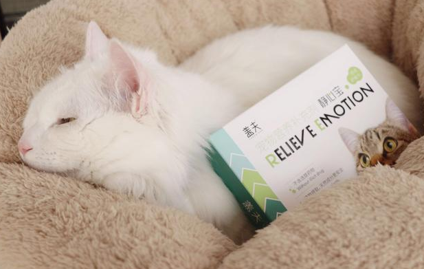 猫咪发情别慌乱，盖夫静心宝来支招 