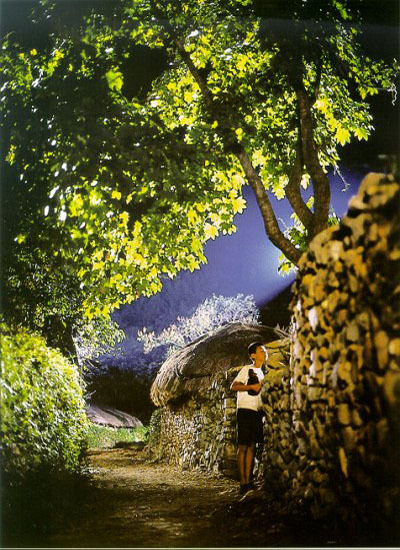 美丽的时节(1998)的剧照 美丽的时节(1998)的剧照