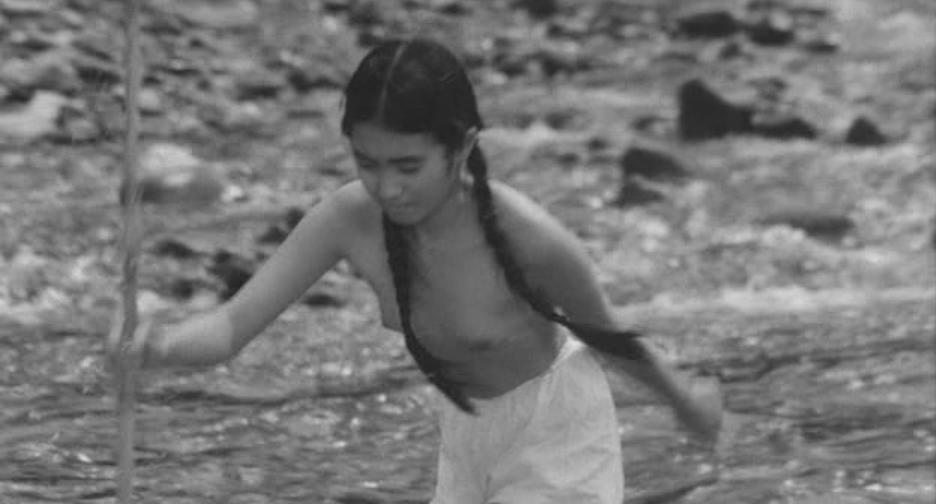 落叶树(1986)的剧照 落叶树(1986)的剧照