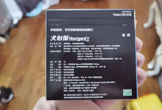 犬心保防治结合，科学健康