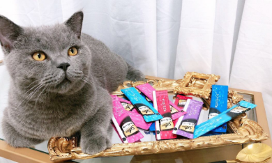 测评种草 | 来瞧瞧希宝Sheba猫条