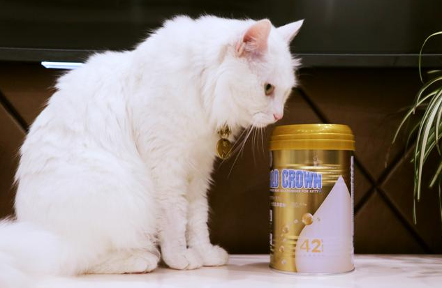 盖夫金冠重新定义羊奶粉，蛋白质含量达母乳标准