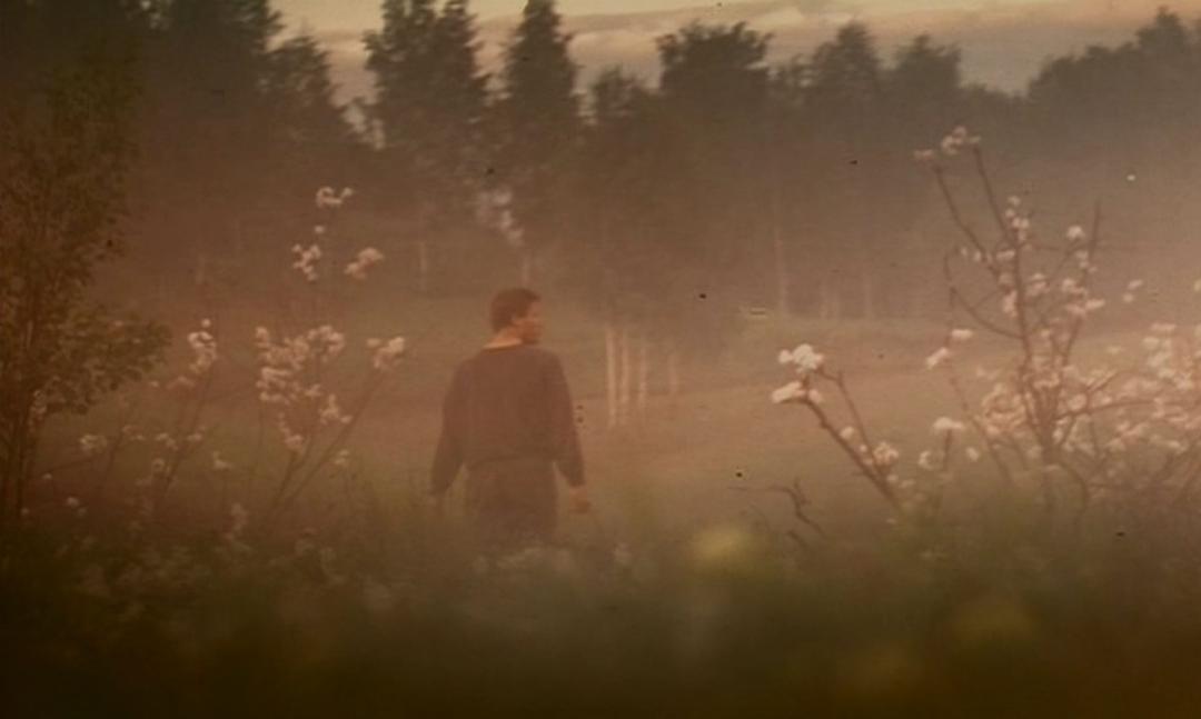 母与子(1997)的剧照 母与子(1997)的剧照