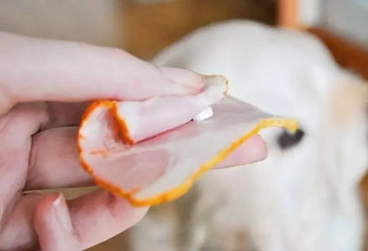 狗狗不肯吃药？别慌来看你就懂了~