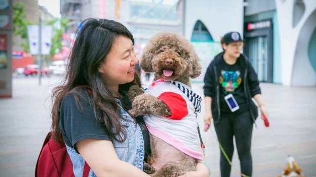 盖夫×爱宠游，携宠泛舟九龙湖！