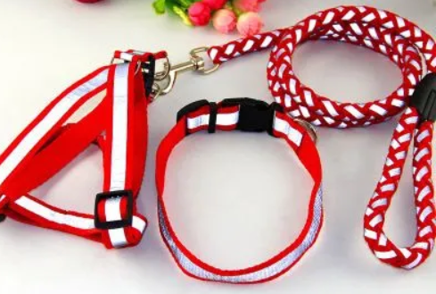 保障宠物安全，牵引绳+智能项圈降低安全隐患
