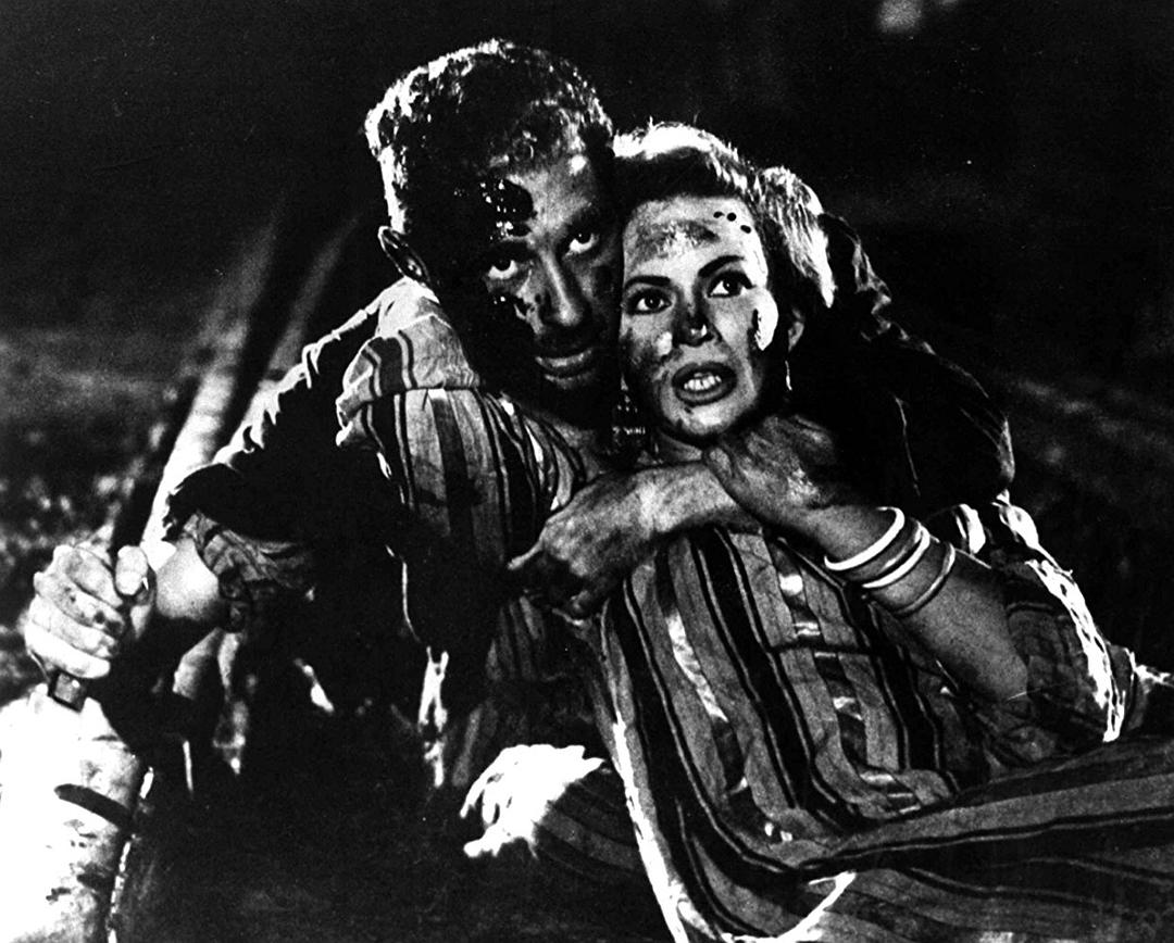 开罗车站(1958)的剧照 开罗车站(1958)的剧照