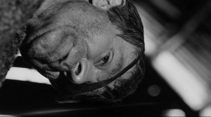 德拉克的回归(1968)的剧照 德拉克的回归(1968)的剧照