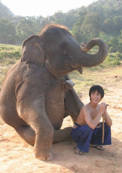 星星少年(2005)的剧照 星星少年(2005)的剧照