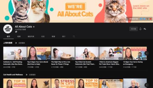 从出海到赶海，拥挤的宠物赛道品牌如何找到新出路？