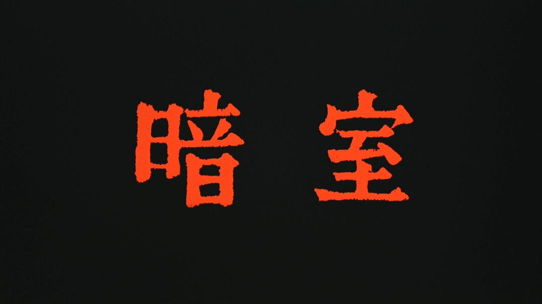 暗室
(1983)的剧照 暗室
(1983)的剧照