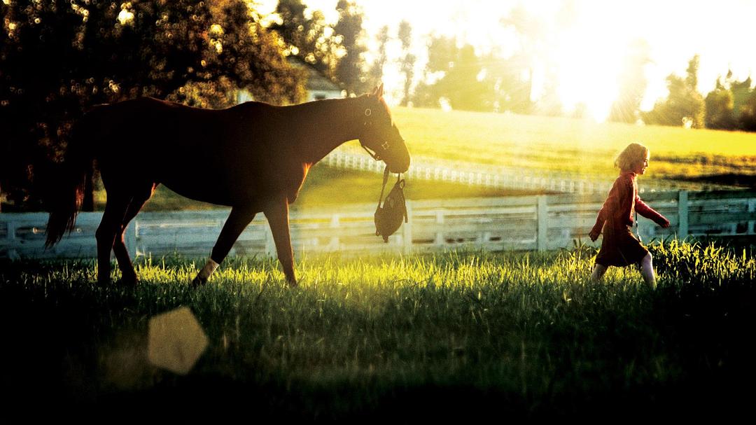 梦想奔驰(2005)的剧照 梦想奔驰(2005)的剧照