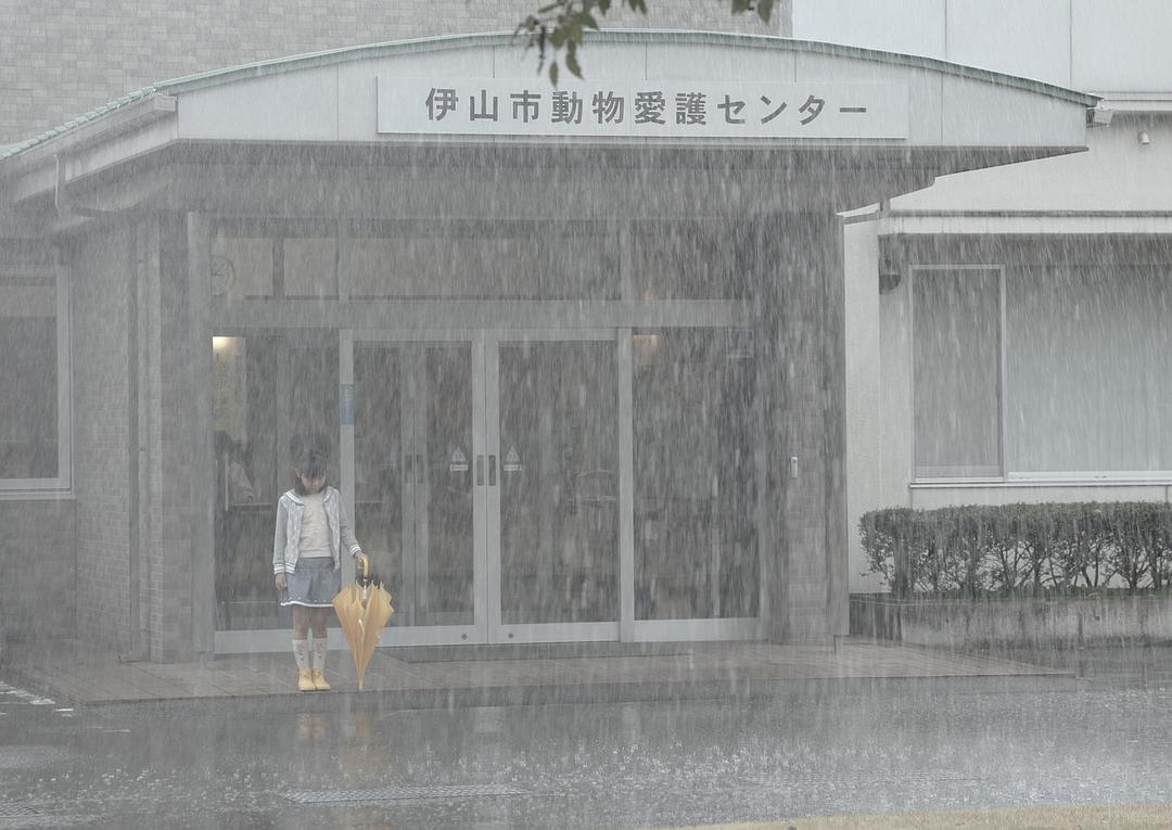 为了这条街的生命(2016)的剧照 为了这条街的生命(2016)的剧照