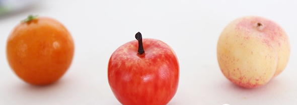 宠物圈 “多格漫”专场｜原来宠物的东西这么好玩，吸盘眺望台是个什么东东？