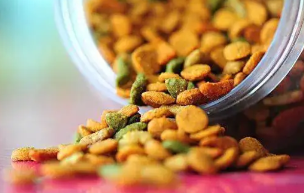 宠物科学喂养的践行者 生生不息冻干猫粮赋能宠物健康