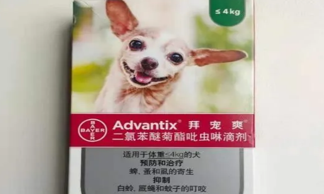 划重点:狗狗体外驱虫药哪种好,拜宠爽实力强劲 划重点:狗狗体外驱虫药哪种好,拜宠爽实力强劲