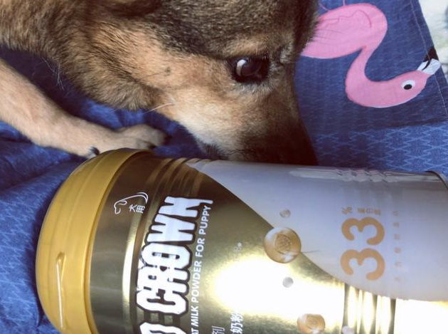 盖夫金冠重新定义羊奶粉，蛋白质含量达母乳标准