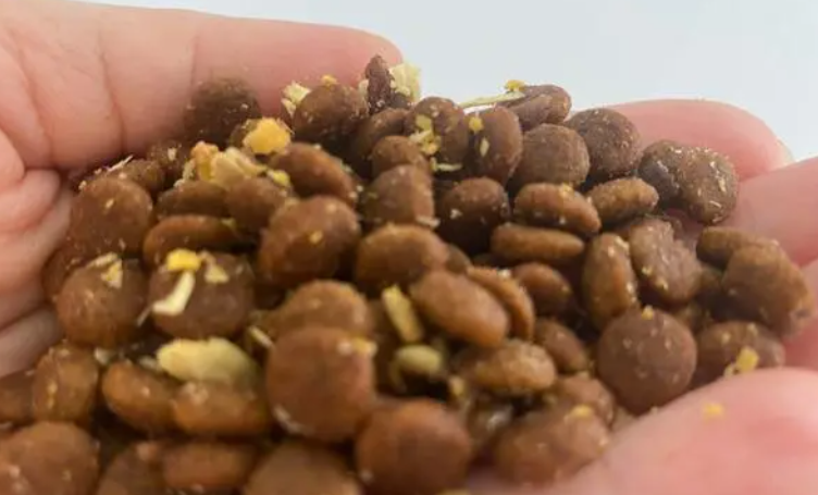 狗粮怎么选？要看这些成分指标