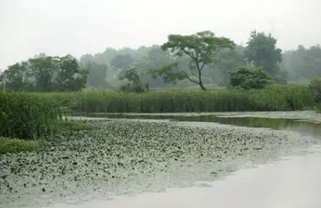 6月份是不是梅雨季节1