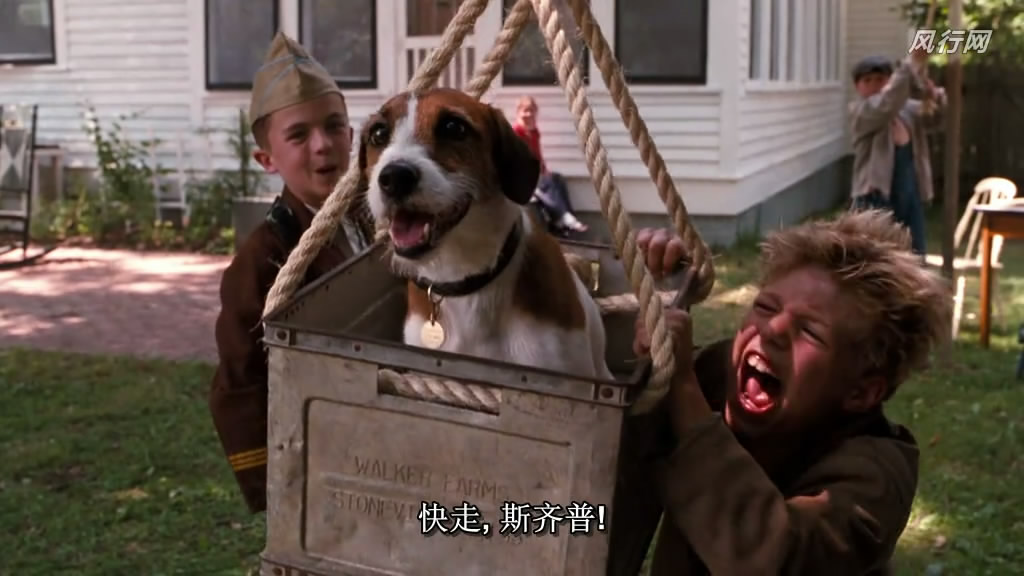 我的小狗斯齐普(2000)的剧照 我的小狗斯齐普(2000)的剧照