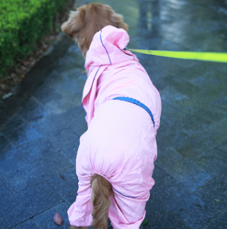 德丰Dog's life,一个给你众多惊喜的宠物用品品牌 德丰Dog's life,一个给你众多惊喜的宠物用品品牌