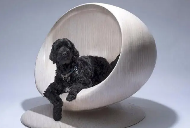 一起来看看，设计师设计的狗窝都好有设计感