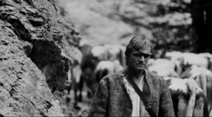 德拉克的回归(1968)的剧照 德拉克的回归(1968)的剧照