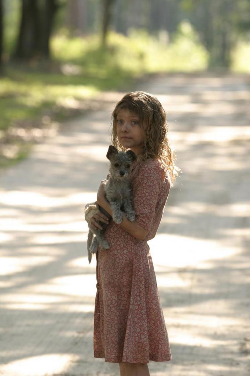 猎犬(2007)的剧照 猎犬(2007)的剧照