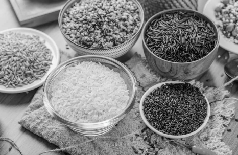 比乐双拼“臻”滋味无谷宠粮，营养又美味