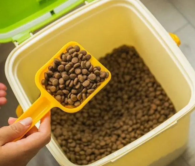 怎么选择适合比格犬吃的狗粮？想知道的进！