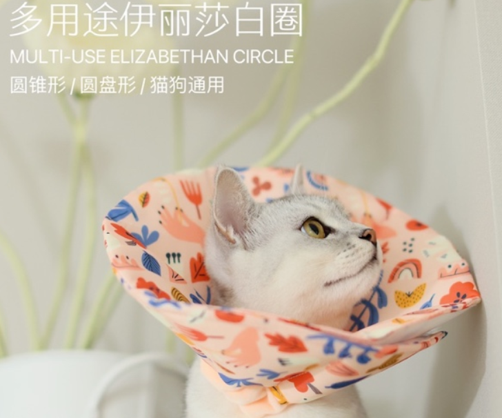Paws Holic爪迷推出夏季新品，来看看吧