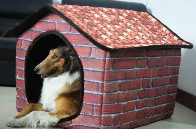 选狗窝也是有学问的，这些点你get到了么？