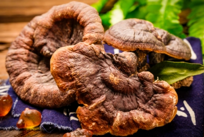 新品上市｜C3帕缇朵奇鲜系列火热开市