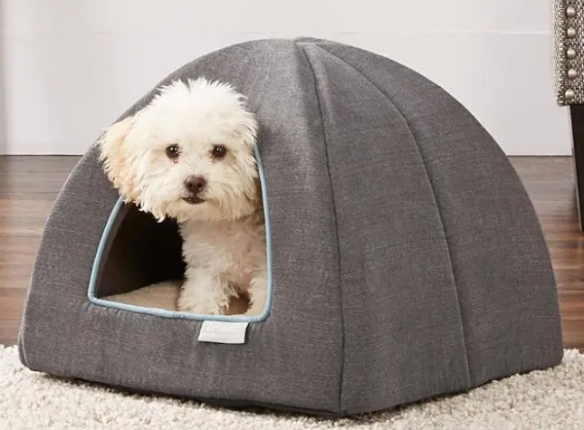 选对狗窝，狗狗才能更好地休息和放松