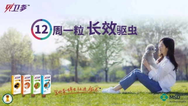 狗狗身上有蜱虫怎么去除?“12分周到”的贝卫多四季豆给你答案 狗狗身上有蜱虫怎么去除?“12分周到”的贝卫多四季豆给你答案