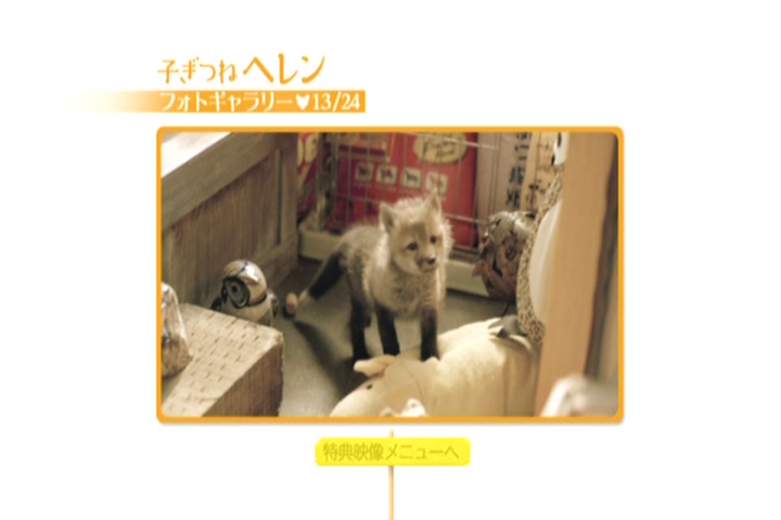 子狐物语(2006)的剧照 子狐物语(2006)的剧照