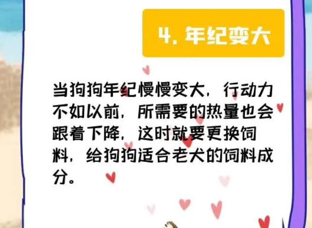 换狗粮后拉肚子？符合4种情况必须换粮