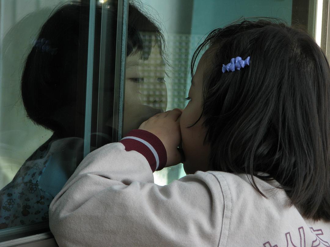 无树之山(2008)的剧照 无树之山(2008)的剧照