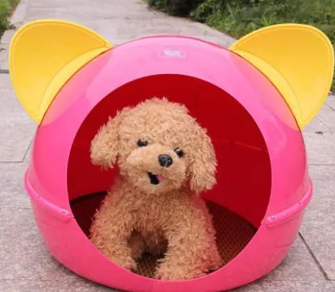 狗窝都没挑对，你让狗狗怎么不爱上你的床