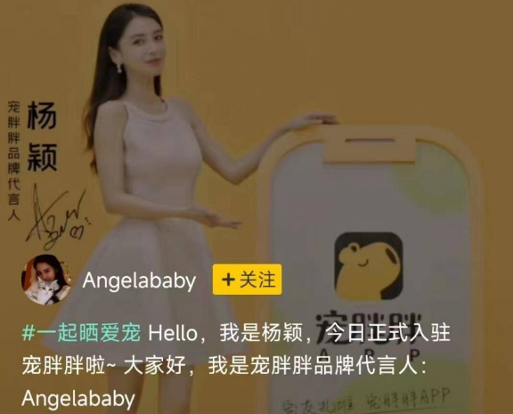 独家官宣！爱猫狂魔杨颖成为宠胖胖全新品牌代言人 