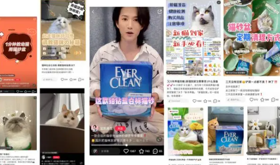 与年轻铲屎官“玩”在一起,铂钻猫砂的趣味化营销品效双赢 与年轻铲屎官“玩”在一起,铂钻猫砂的趣味化营销品效双赢