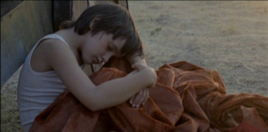 了不起的赞比尼(2005)的剧照 了不起的赞比尼(2005)的剧照