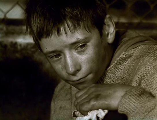 男孩纪事(2001)的剧照 男孩纪事(2001)的剧照