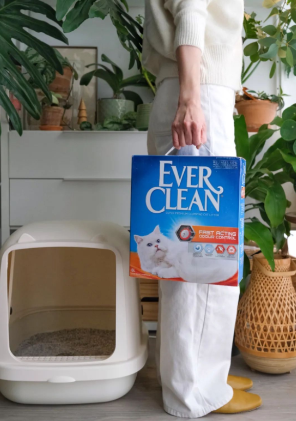 EverClean铂钻引领行业发展,以产品力+内容力推动健康升级 EverClean铂钻引领行业发展,以产品力+内容力推动健康升级