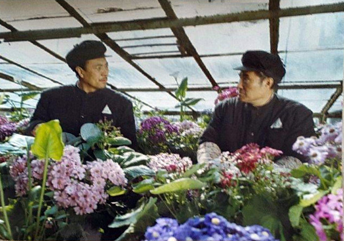 决战之后
(1991)的剧照 决战之后
(1991)的剧照