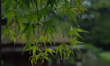 6月份是不是梅雨季节2