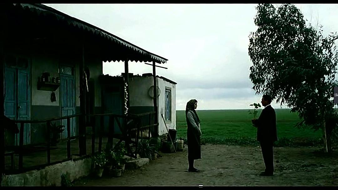 边境布鲁斯(2009)的剧照 边境布鲁斯(2009)的剧照