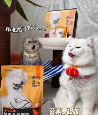 百元内猫粮怎么选?“多猫之家”都看比瑞吉元气乌鸡鲜肉猫粮 百元内猫粮怎么选?“多猫之家”都看比瑞吉元气乌鸡鲜肉猫粮