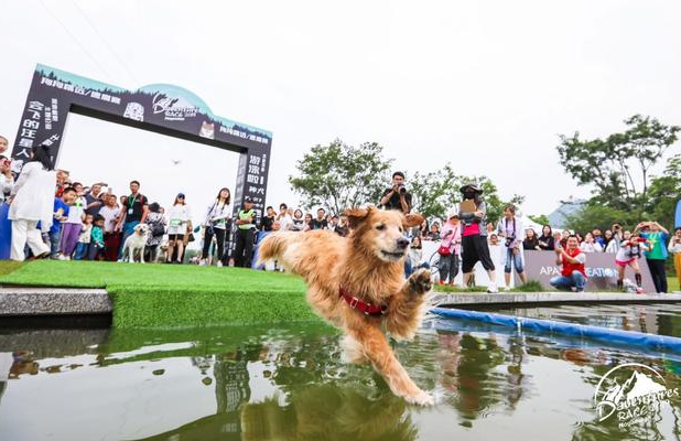 盖夫携Daventures Race山地嘉年华，户外运动会看狗狗肆意撒欢 